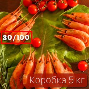 Магаданская креветка северная (вылов 2024г), 80/100 (коробка 5 кг.)