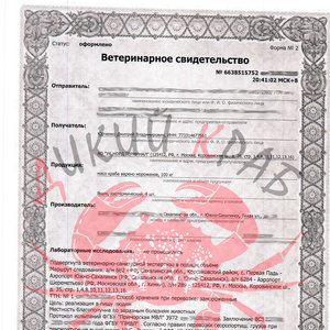 Сертификат на Первая фаланга краба Стригуна очищенная, (мясо краба Стригуна сухой заморозки) 0,5 кг 
