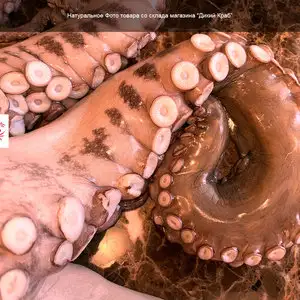 Осьминог целый, огромный 3-5 кг (замороженный очищенный)