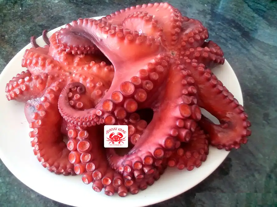 Осьминог целый, огромный 3-5 кг (замороженный очищенный)