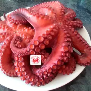 Осьминог целый, огромный 3-5 кг (замороженный очищенный)