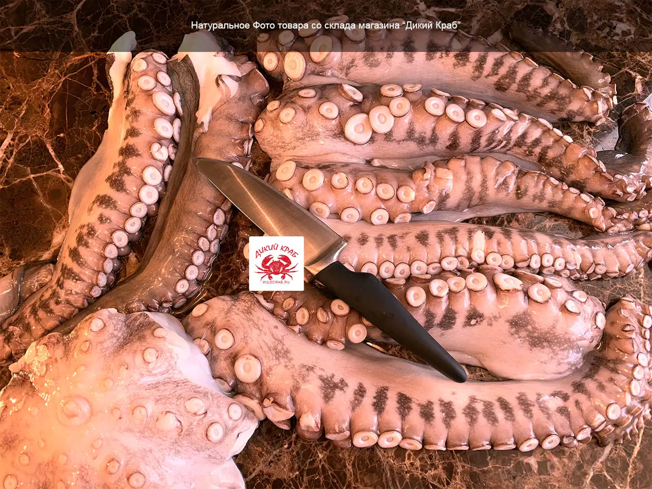 Осьминог целый, огромный 3-5 кг (замороженный очищенный)