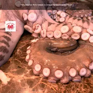 Осьминог целый, огромный 3-5 кг (замороженный очищенный)