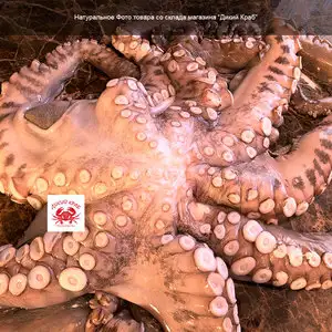 Осьминог целый, огромный 3-5 кг (замороженный очищенный)