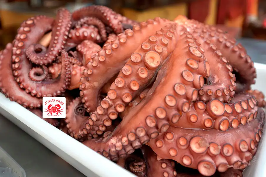 Осьминог целый, огромный 3-5 кг (замороженный очищенный)