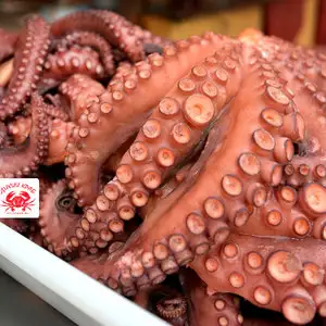 Осьминог целый, огромный 3-5 кг (замороженный очищенный)