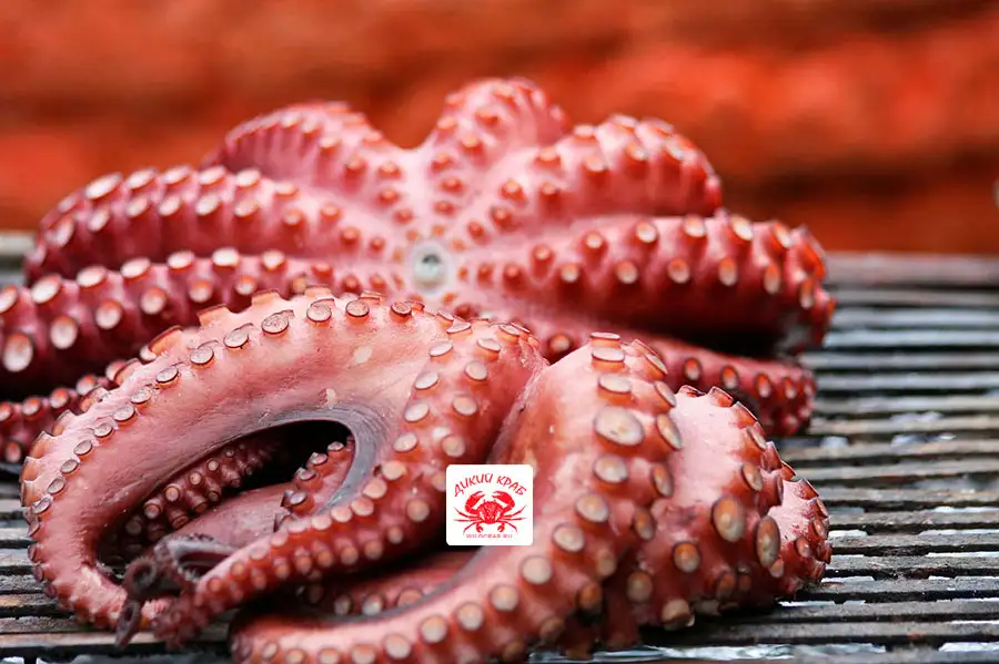 Осьминог целый, огромный 3-5 кг (замороженный очищенный)