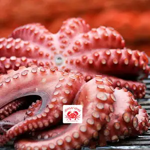 Осьминог целый, огромный 3-5 кг (замороженный очищенный)