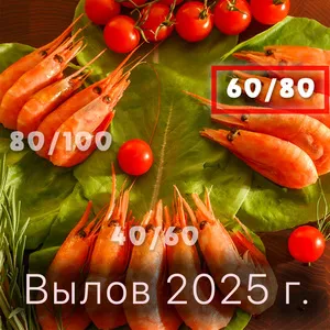Магаданская креветка северная с икрой PREMIUM / вылов 2025г / крупная XL 60/80, судовая заморозка (750г)