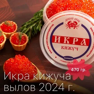 Икра Кижуча красная 470 гр / EXTRA / Отборная / Зернистая / Не из замороженного сырья / свежий вылов 2024 г.