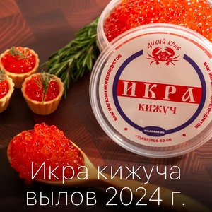 Икра Кижуча красная 470 гр / EXTRA / Отборная / Зернистая / Не из замороженного сырья / свежий вылов 2024 г.